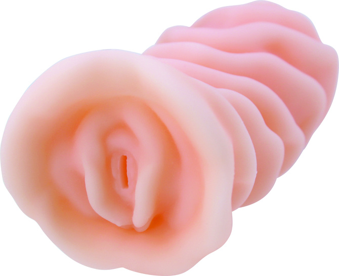 KMP 프리미엄홀 플러스 미사키 칸나