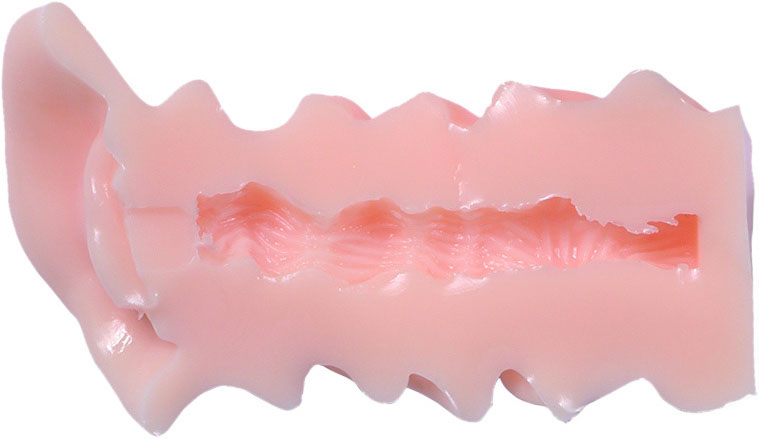 KMP 프리미엄홀 플러스 미사키 칸나