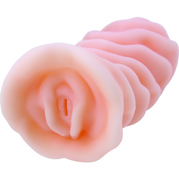 KMP 프리미엄홀 플러스 미사키 칸나