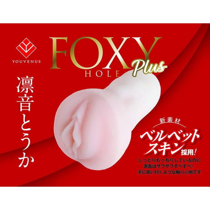 [KMP] 폭시홀 플러스 린네 토카 FOXY HOLE plus