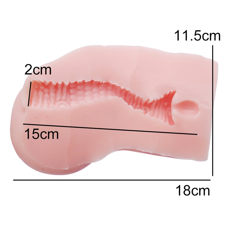 [토이즈하트] 발육측정 measuring growth