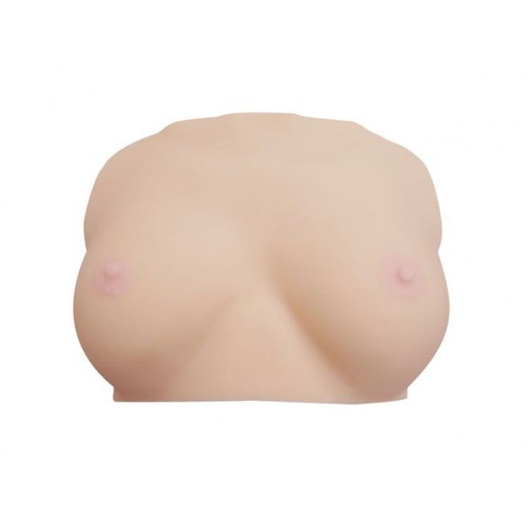 3D로 스캔한 호시미 리카의 가슴