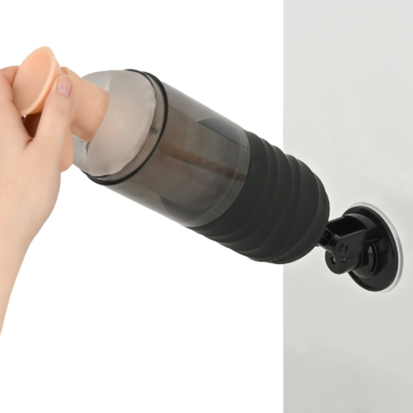 푸니아나 로이드4