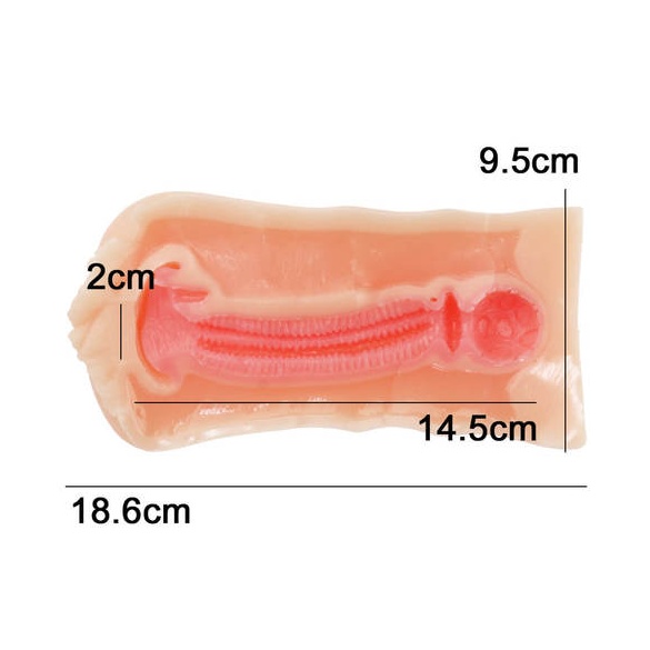 동급생 30년 기념 애니버서리 홀 타나카 미사