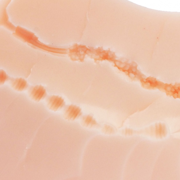 리얼 바디 극생 엉덩이 - 니카이도 리오