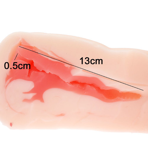 반숙 서큐버스 서큐엠 토르소