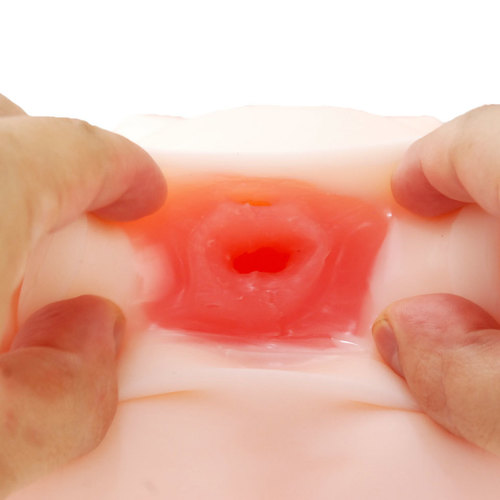 반숙 서큐버스 서큐엠 토르소