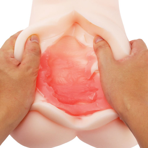 반숙 서큐버스 서큐엠 토르소