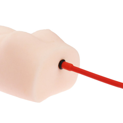 반숙 서큐버스 서큐엠 토르소