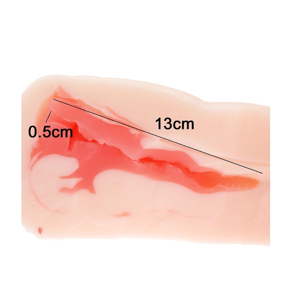 반숙 서큐버스 서큐엠 토르소