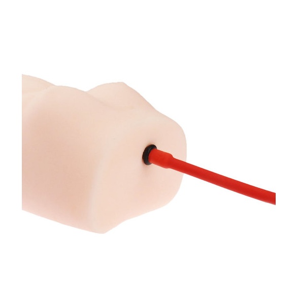 반숙 서큐버스 서큐엠 토르소