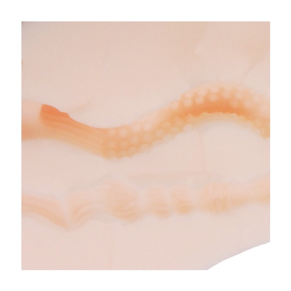 푸니아나 DX 말랑말랑 에디션