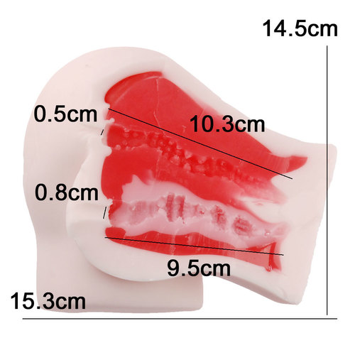 S급 모모못치 2000
