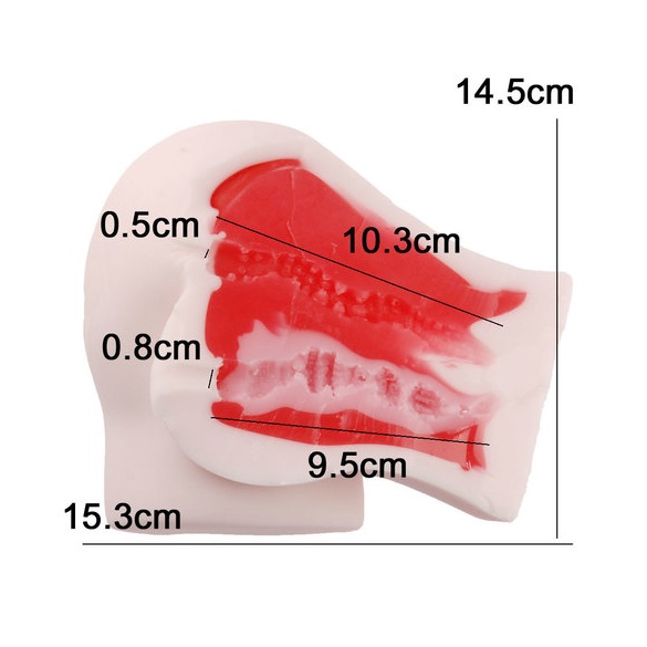 S급 모모못치 2000