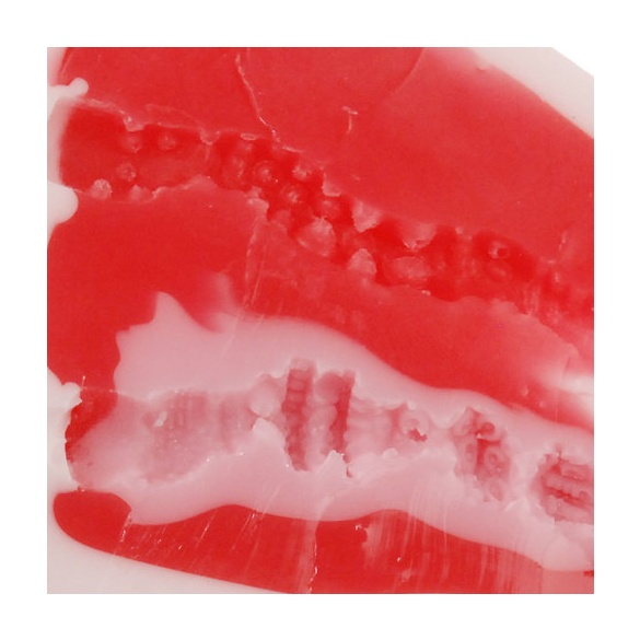 S급 모모못치 2000