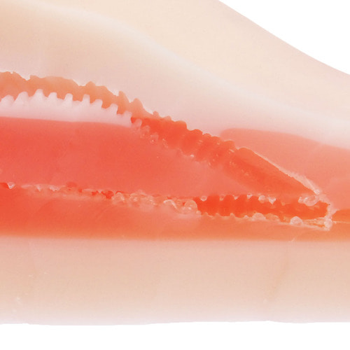 리얼 - 천사의 극한