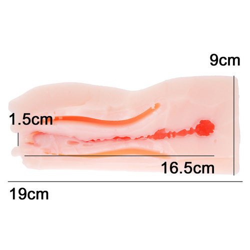 쿄우세이 카이코우 페라홀 - 입모션 800
