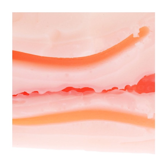 쿄우세이 카이코우 페라홀 - 입모션 800