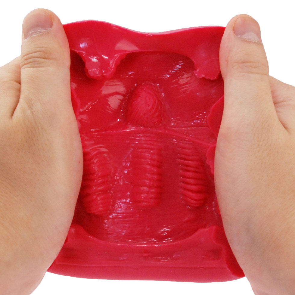 오나홀 성좌 컬렉션 사자자리