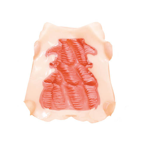 타마프리미엄 HG 01