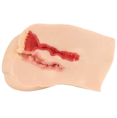 리토푸리 - 어린공주