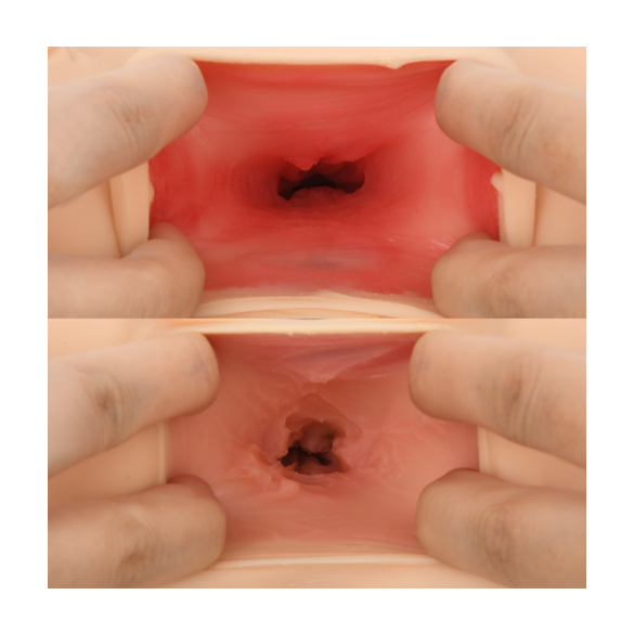 리토푸리 - 어린공주