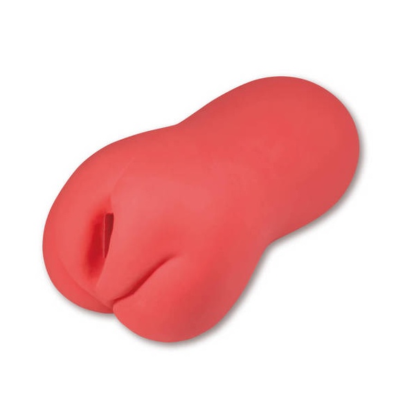 매혹적인 누님 -영리한 여우계