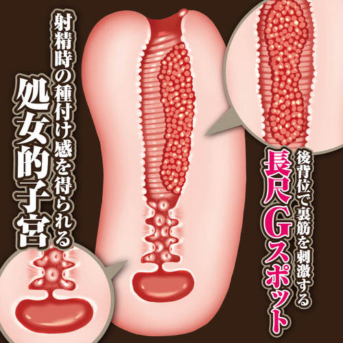 창신의 아르스 마그나 - 셀레스틴 마기스토스