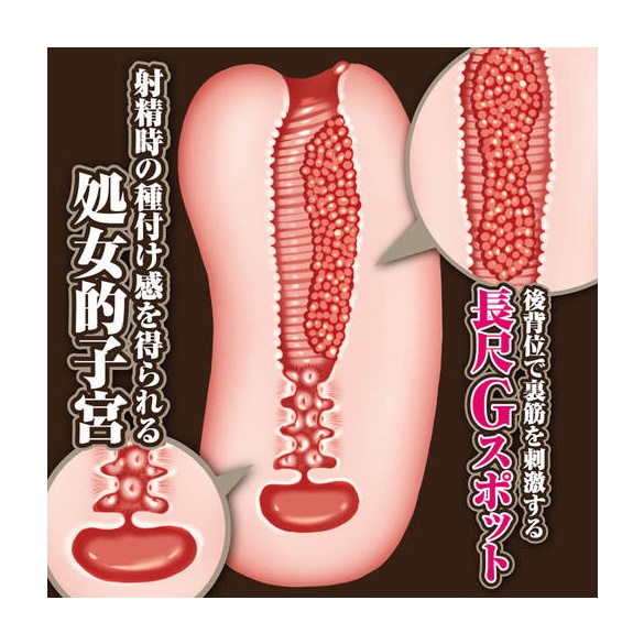 창신의 아르스 마그나 - 셀레스틴 마기스토스