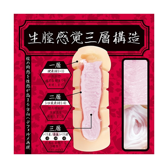 생질감각 3층구조 유메 이치지쿠 (무화과의 꿈) 소형 보통