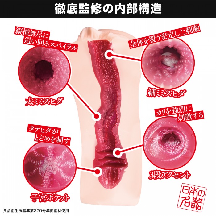 일본의 명기 츠지이 호노카