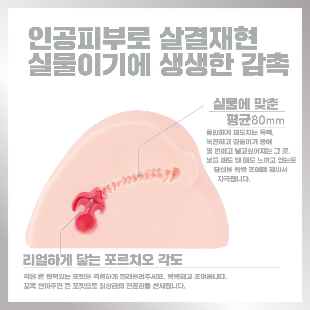 차세대 홀 혼모노 힙 인공피부