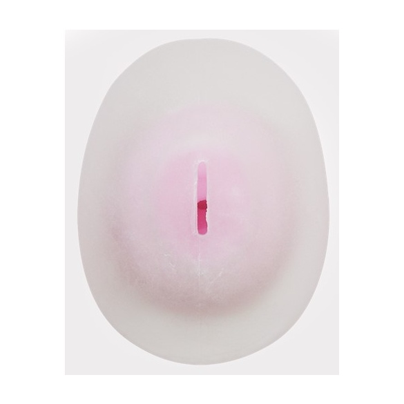 러브바디 히나 전용 오나홀 - 블로섬