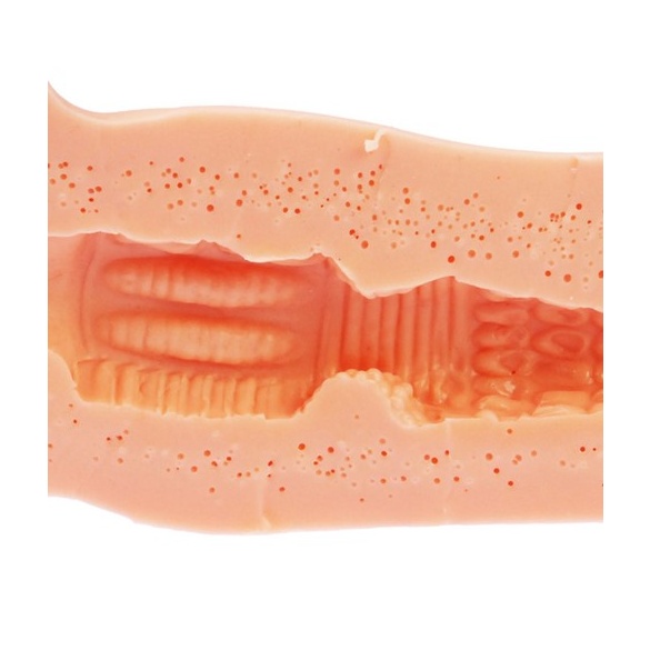 러브바디 코코 전용 오나홀 - 패뷸러스