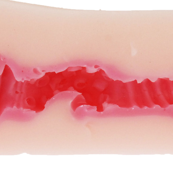 하타라쿠 아이보 시스템 엔지니어 리호