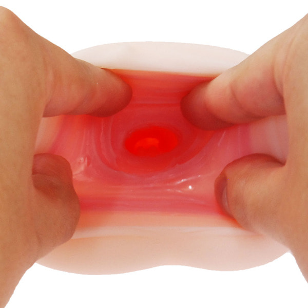 하타라쿠 아이보 시스템 엔지니어 리호