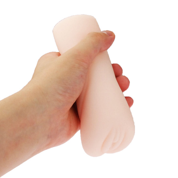 하타라쿠 아이보 시스템 엔지니어 리호