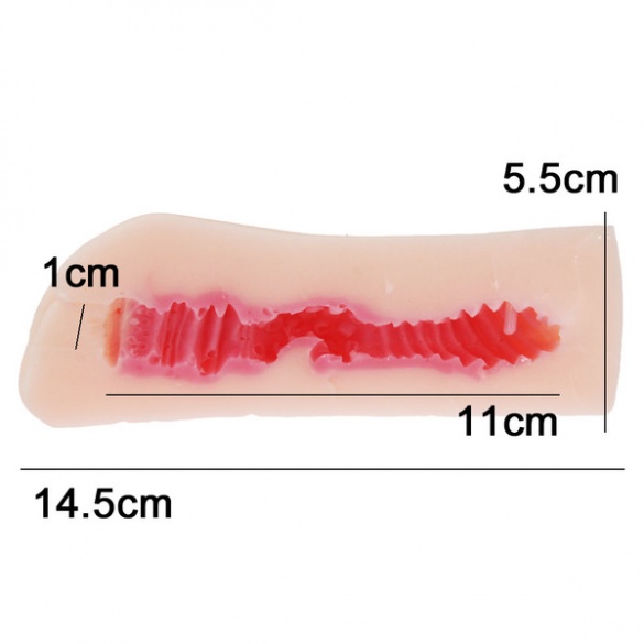 하타라쿠 아이보 시스템 엔지니어 리호