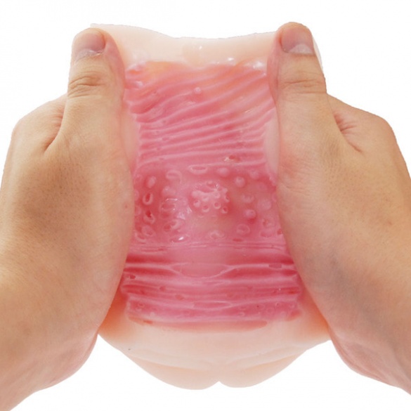 하타라쿠 아이보 시스템 엔지니어 리호