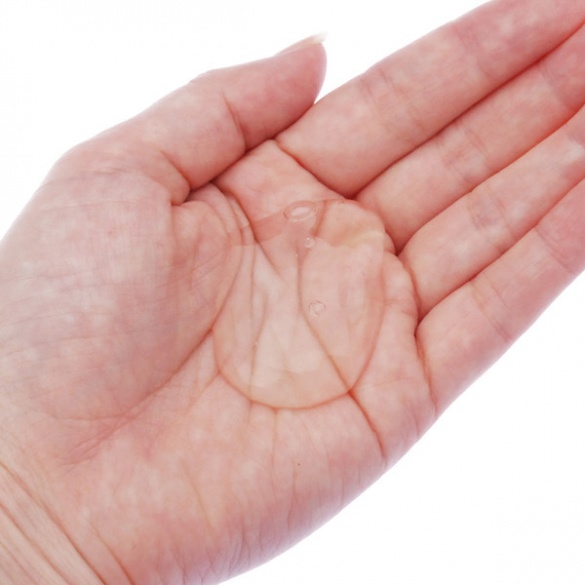 하타라쿠 아이보 시스템 엔지니어 리호