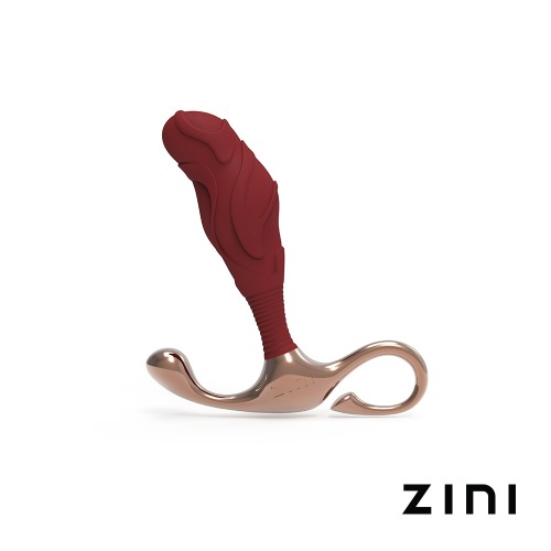 [ZINI] 지니 야누스 램프 아이언 전립선 자극기 (Re-Branded ZINI)