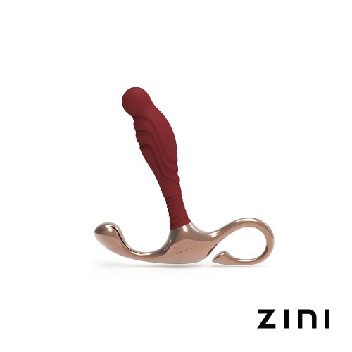 [ZINI] 지니 야누스 램프 아이언 전립선 자극기 (Re-Branded ZINI)