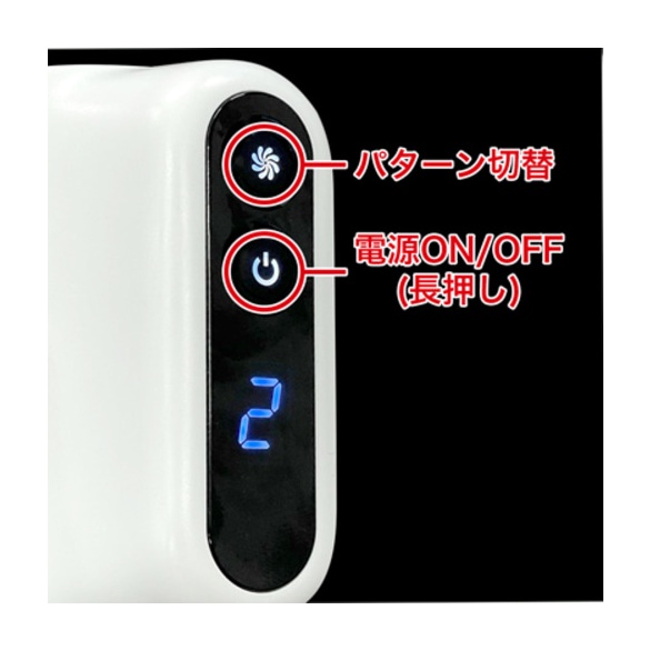 푸니아나 로이드 R (일본정품)