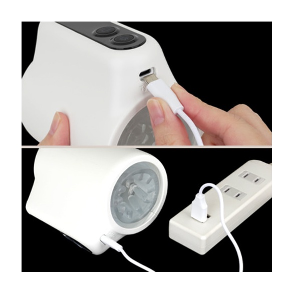 푸니아나 로이드 R (일본정품)