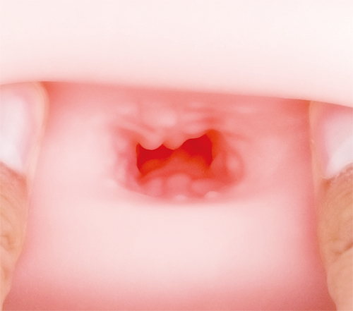 [토이즈하트] R-20 서드 3rd