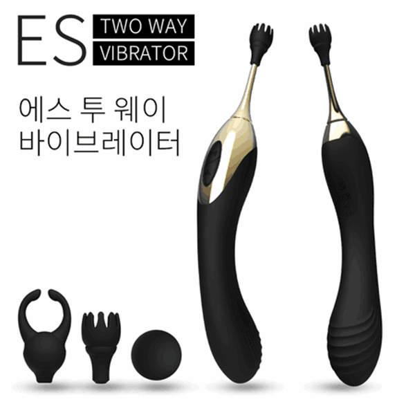 에스2웨이 12단 진동