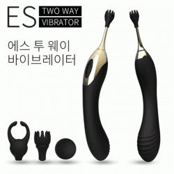 에스2웨이 12단 진동