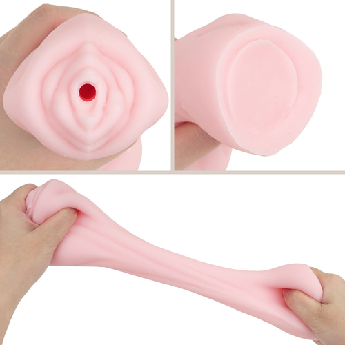 트루이보 화조풍월