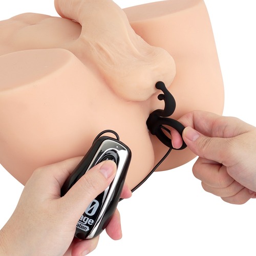 백 파이어 포볼 일렉트릭 에네마 (일본정품)