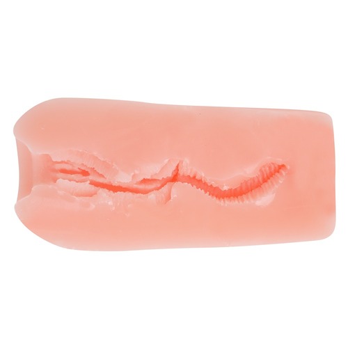 하메리칸 썸머 베케이션